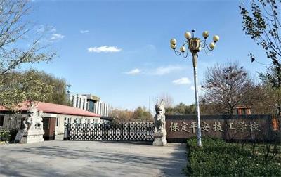 去哪個(gè)學(xué)校上升學(xué)班比較好？   