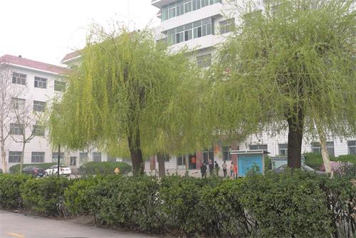 學(xué)習(xí)高鐵乘務(wù)專業(yè)怎么樣？   