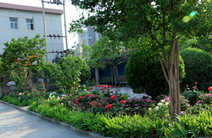 邯鄲理工學(xué)校怎么樣？學(xué)校都有什么專業(yè)？