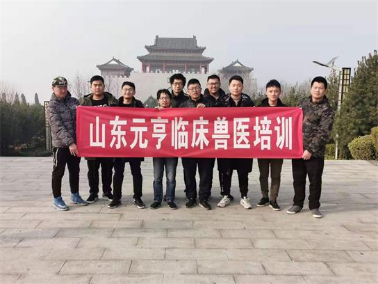 想當(dāng)獸醫(yī)要學(xué)什么？   