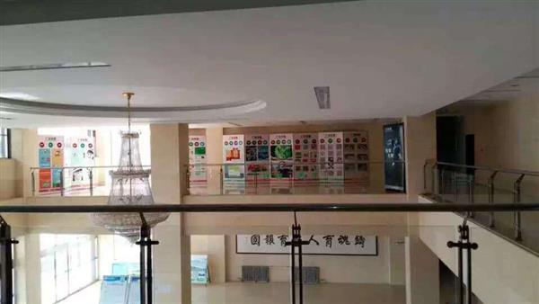 德新星1 德新星1