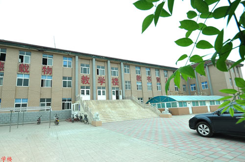 滄州國興職業(yè)技術(shù)學(xué)校開設(shè)了哪些專業(yè)？