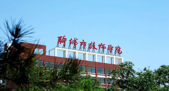 聊城市技師學(xué)院有計算機專業(yè)嗎？