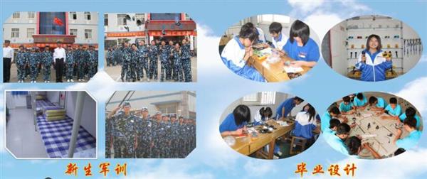 青島海信中心聯(lián)校收費(fèi)標(biāo)準(zhǔn)是什么？