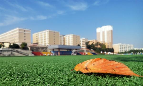 想學(xué)“免費”專業(yè)？保定北市區(qū)職教中心為你買單