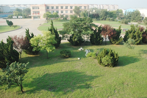 山東龍口礦業(yè)集團高級技工學(xué)校老師們教學(xué)怎么樣？升學(xué)率高嗎？