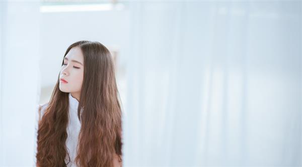 石家莊東方學(xué)院都開設(shè)了哪些專業(yè)？