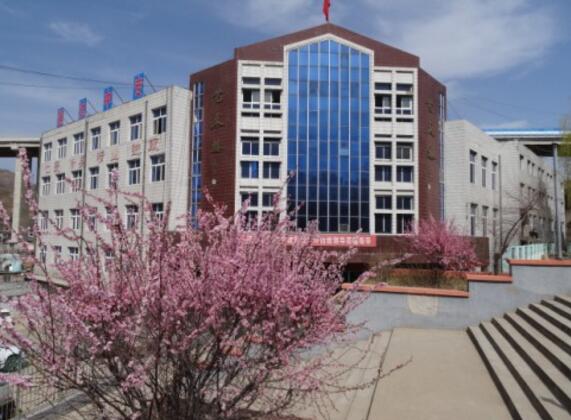 承德通達(dá)中等專業(yè)學(xué)校國(guó)際商務(wù)專業(yè)是留學(xué)專業(yè)嗎？