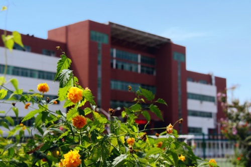 通過單招考取大學有哪些優(yōu)勢？