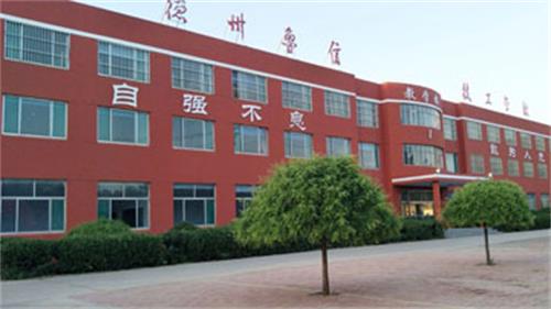 山東德州魯信通懋職業(yè)技工學(xué)校就業(yè)情況怎么樣？