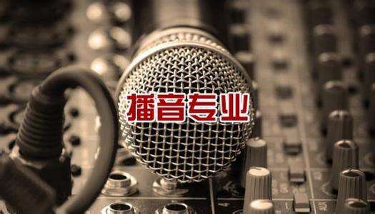 北京吉利學(xué)院華視傳媒學(xué)院有藝術(shù)相關(guān)專業(yè)嗎？