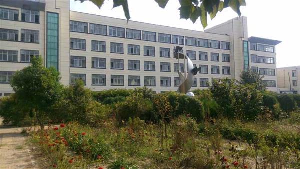 509175204320181031154425_9140 509175204320181031154425_9140