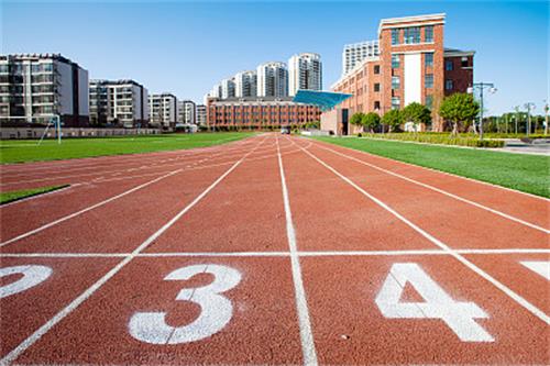 351149319420181012152916_2311 351149319420181012152916_2311