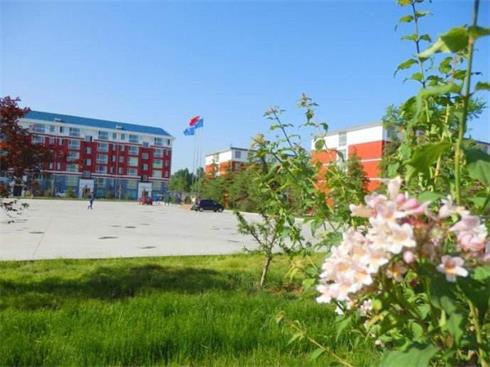 學(xué)習(xí)護(hù)理專業(yè)要掌握哪些內(nèi)容？   