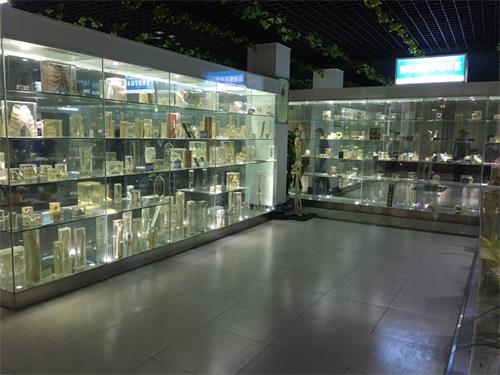 山東學(xué)臨床去哪里？歡迎選擇山東人民專修學(xué)院！