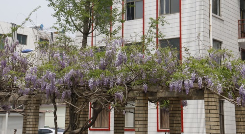 山東學(xué)鐵路就選擇山東煤炭技師學(xué)院！