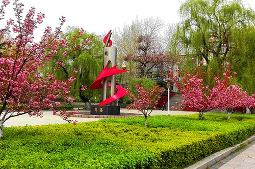 選擇齊魯技術(shù)學(xué)院學(xué)幼師怎么樣？