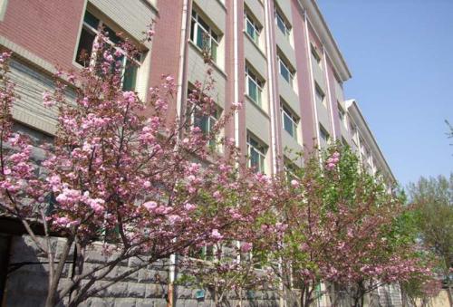 保定學(xué)汽修選擇保定新興工業(yè)技工學(xué)校怎么樣？