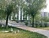 保定平安技工學校