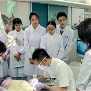 口腔醫(yī)學專業(yè)
