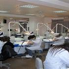 口腔醫(yī)學(xué)（專、本科）